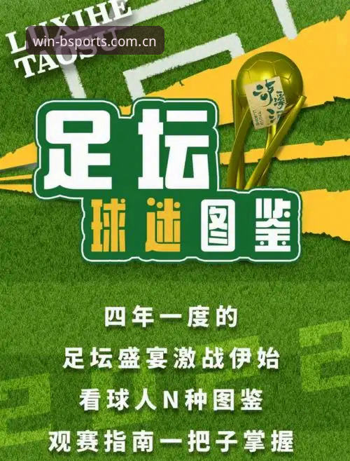 BSports必一体育官方登录通道详解：从下载到观赛的全流程指南